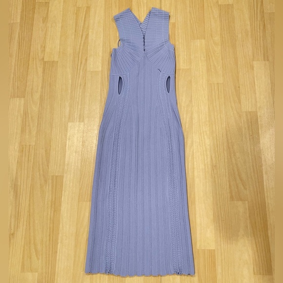 Dion Lee Snakeskin cut out Dress - Picture 4 of 5